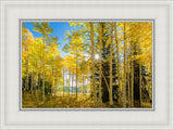 Autumn in the Rocky Mountains, Wasatch National Forest, Utah