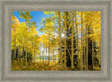 Autumn in the Rocky Mountains, Wasatch National Forest, Utah