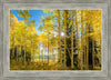 Autumn in the Rocky Mountains, Wasatch National Forest, Utah