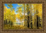 Autumn in the Rocky Mountains, Wasatch National Forest, Utah