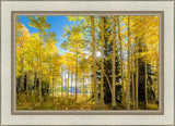 Autumn in the Rocky Mountains, Wasatch National Forest, Utah