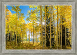 Autumn in the Rocky Mountains, Wasatch National Forest, Utah