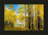 Autumn in the Rocky Mountains, Wasatch National Forest, Utah