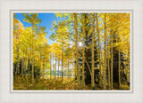 Autumn in the Rocky Mountains, Wasatch National Forest, Utah