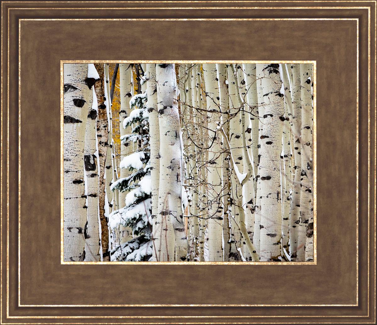 Christmas Around the Corner, Guardsman Pass, Park City, Utah