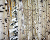 Christmas Around the Corner, Guardsman Pass, Park City, Utah