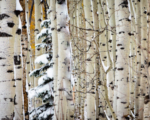 Christmas Around the Corner, Guardsman Pass, Park City, Utah