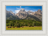 Panorama of Grand Teton Mountain Range, Wyoming