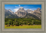 Panorama of Grand Teton Mountain Range, Wyoming