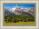 Panorama of Grand Teton Mountain Range, Wyoming