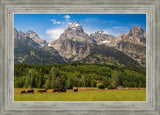 Panorama of Grand Teton Mountain Range, Wyoming