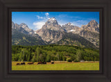 Panorama of Grand Teton Mountain Range, Wyoming