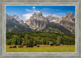 Panorama of Grand Teton Mountain Range, Wyoming