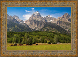 Panorama of Grand Teton Mountain Range, Wyoming