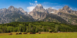 Panorama of Grand Teton Mountain Range, Wyoming