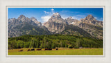 Panorama of Grand Teton Mountain Range, Wyoming