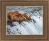 Grizzly Bears Fishing for Salmon at Katmai National Park Brooks Falls, Alaska