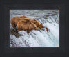 Grizzly Bears Fishing for Salmon at Katmai National Park Brooks Falls, Alaska