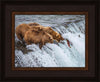 Grizzly Bears Fishing for Salmon at Katmai National Park Brooks Falls, Alaska