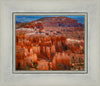 The Hoodoos of Bryce Canyon National Park, Utah