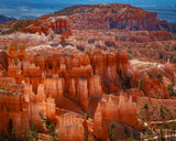 The Hoodoos of Bryce Canyon National Park, Utah