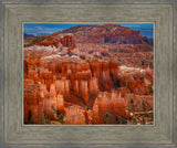 The Hoodoos of Bryce Canyon National Park, Utah