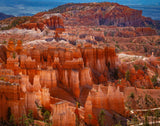 The Hoodoos of Bryce Canyon National Park, Utah