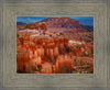 The Hoodoos of Bryce Canyon National Park, Utah