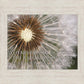 Look Around You Motivational Poster