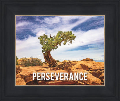 Perseverance Motivational Poster