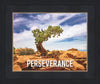 Perseverance Motivisional Poster