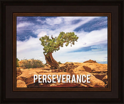 Perseverance Motivational Poster