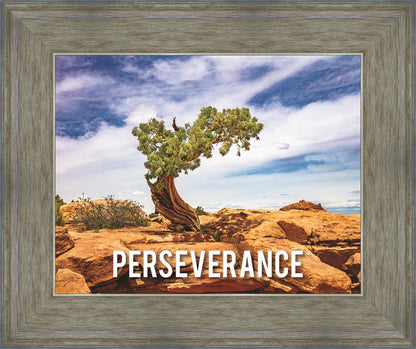 Perseverance Motivational Poster
