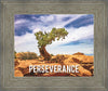 Perseverance Motivisional Poster