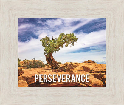 Perseverance Motivational Poster