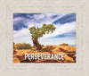 Perseverance Motivisional Poster