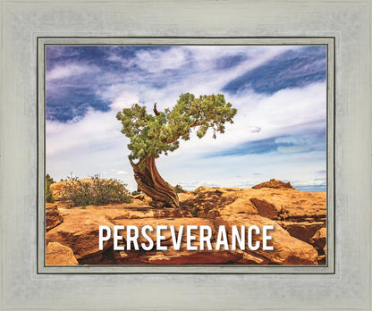 Perseverance Motivational Poster