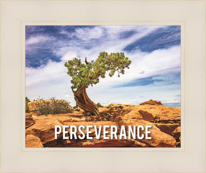 Perseverance Motivational Poster