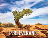 Perseverance Motivisional Poster