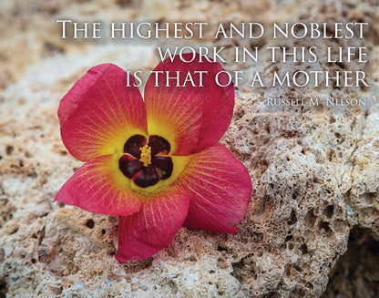 That of a Mother Motivational Poster