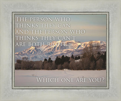 Who Thinks They Can Motivational Poster