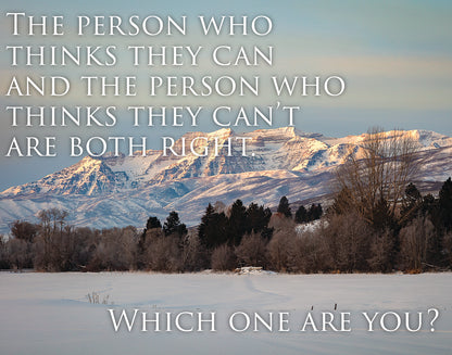 Who Thinks They Can Motivational Poster