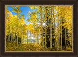 Autumn in the Rocky Mountains, Wasatch National Forest, Utah