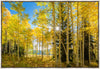 Autumn in the Rocky Mountains, Wasatch National Forest, Utah