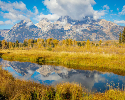 Autumn Splendor