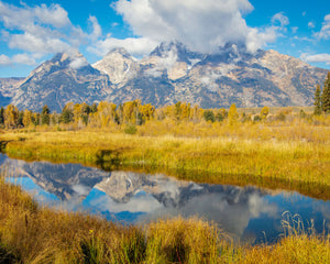 Autumn Splendor