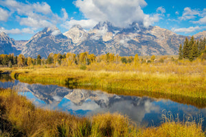 Autumn Splendor Large Wall Art