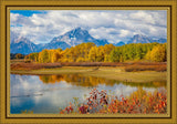 Changing Seasons Large Wall Art