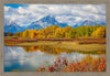 Changing Seasons Large Wall Art