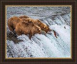 Grizzly Bears Fishing for Salmon at Katmai National Park Brooks Falls, Alaska Large Wall Art